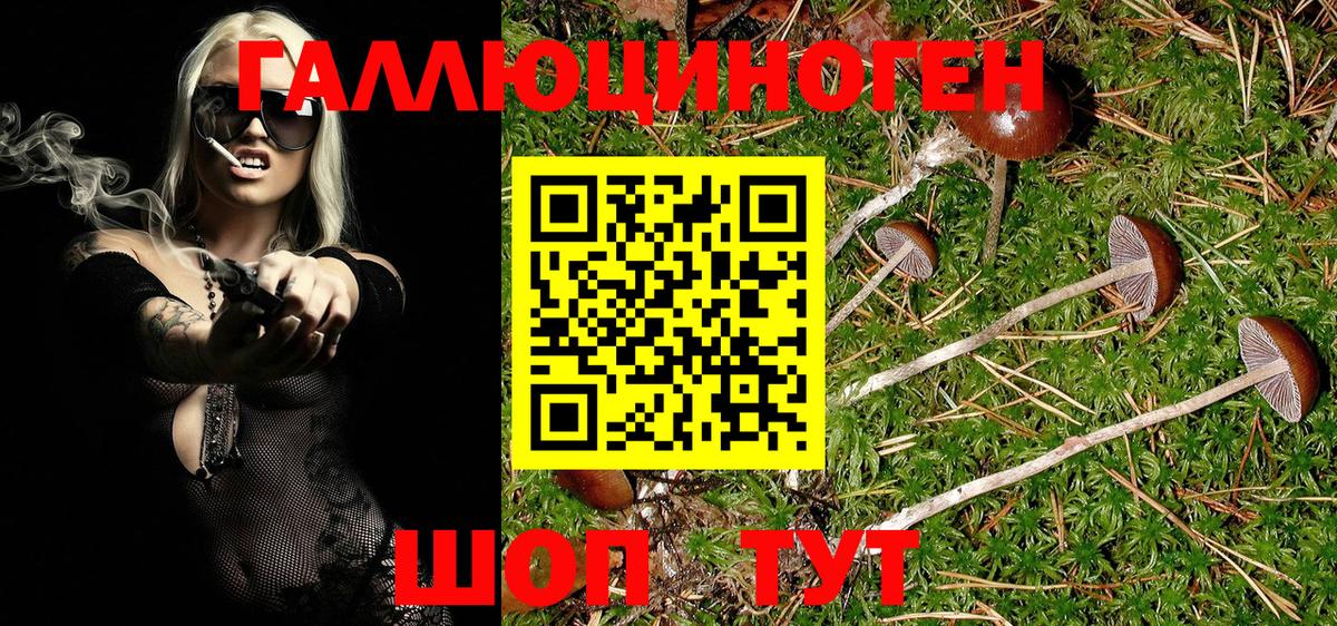Псилоцибиновые грибы Magic Shrooms Вольск