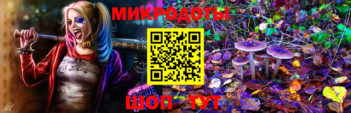 Псилоцибиновые грибы прущие грибы  Галлюциногенные грибы ЛСД  Вольск  Вход с VPN 